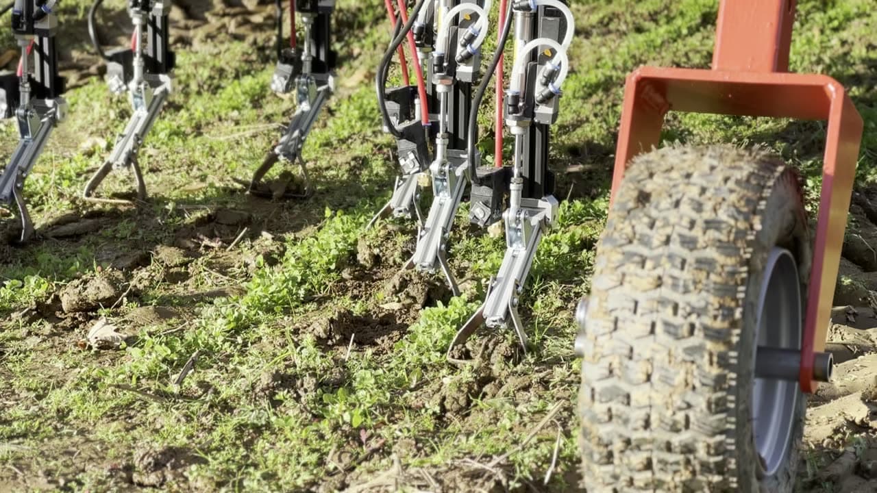WeWeed-Feldroboter im Einsatz auf dem Acker — entfernt invasive Unkräuter und schont nützliche Pflanzen.